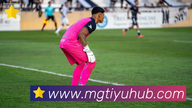 芒果体育APP 封面图