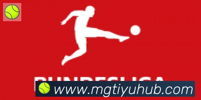 芒果体育合作伙伴