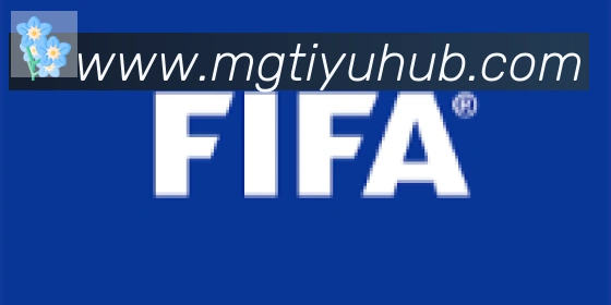 芒果体育合作伙伴